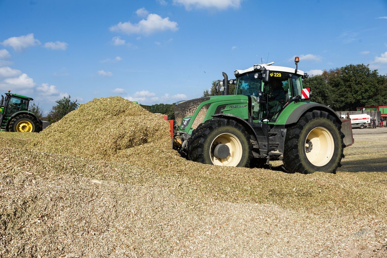 Bild 126 - Maisernte